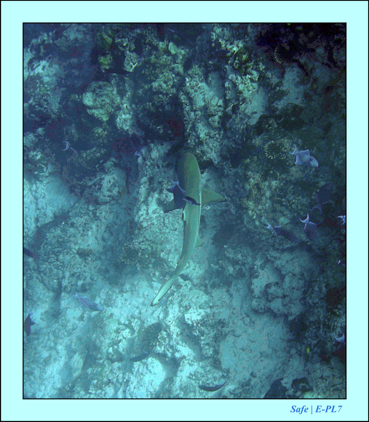 2023 - 07 - Sandies Bathala - 121